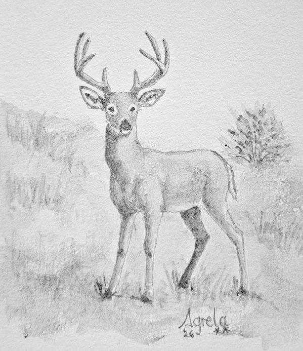 Ilustración 6