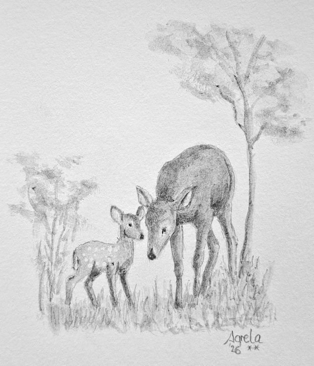 Ilustración 1