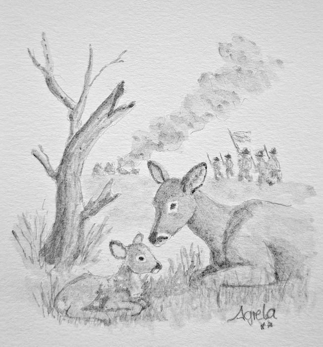 Ilustración 2