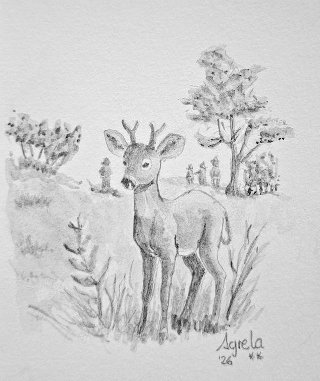 Ilustración 3
