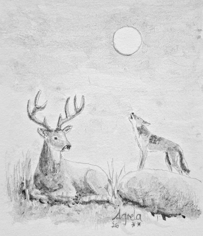 Ilustración 4