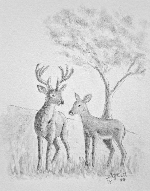 Ilustración 5
