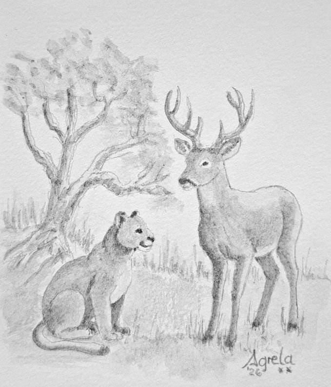 Ilustración 8