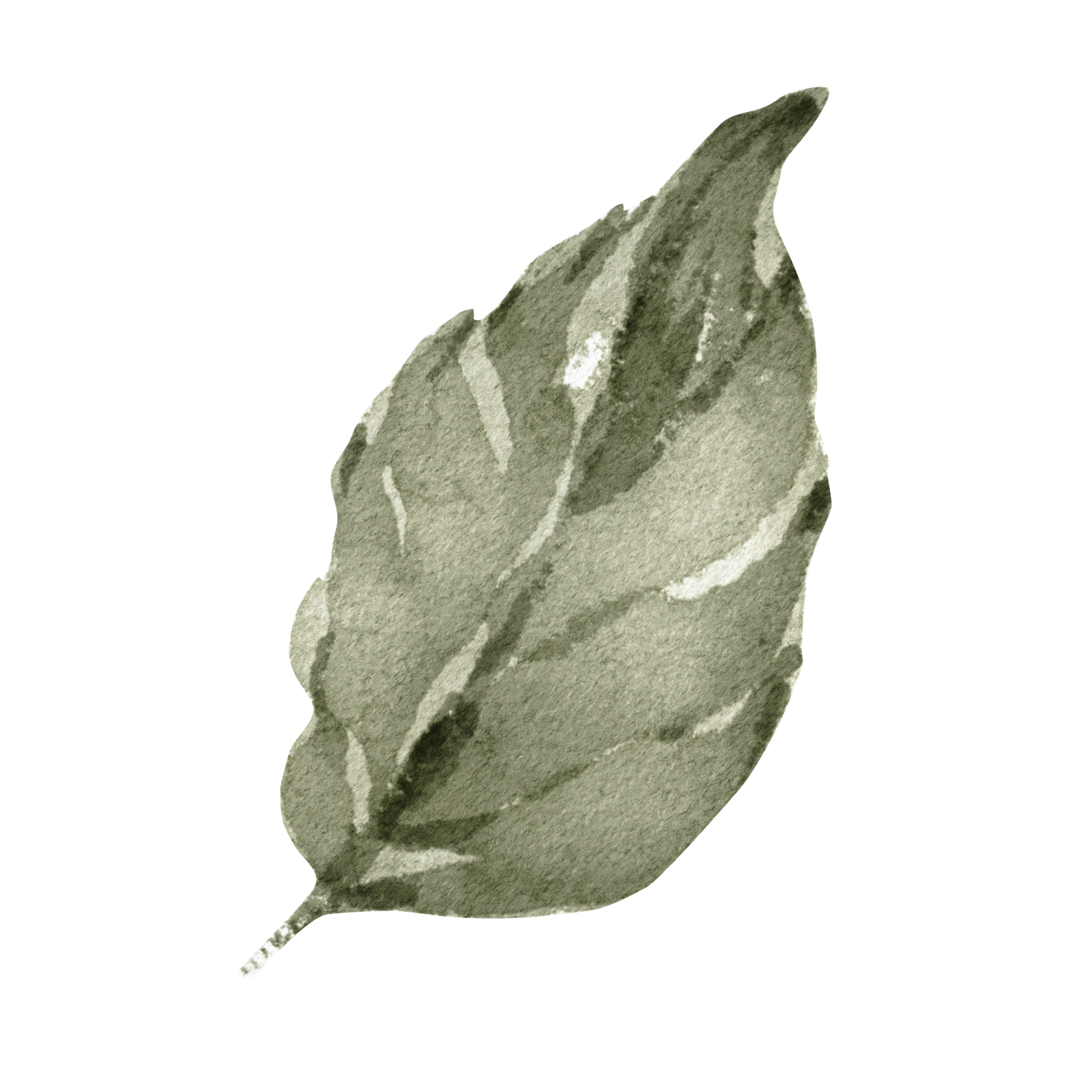 Inspirado en la naturaleza